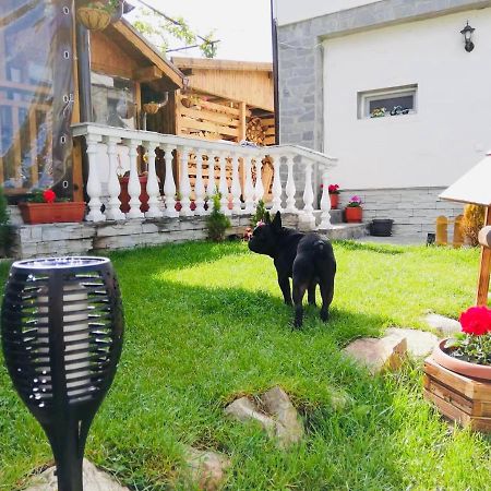 Guest House Grahlyov サパレヴァ・バニャ エクステリア 写真