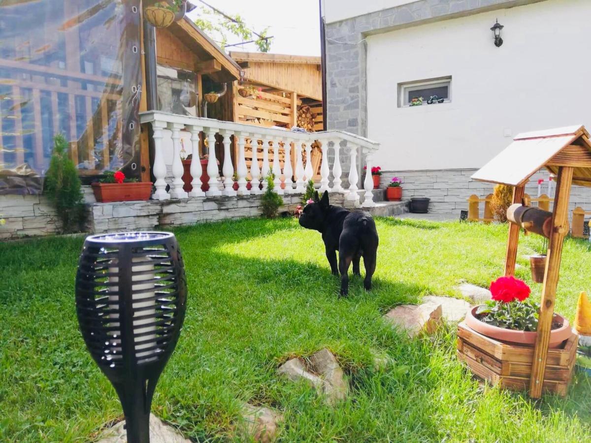 Guest House Grahlyov サパレヴァ・バニャ エクステリア 写真